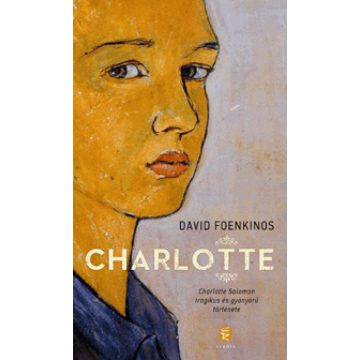 David Foenkinos: Charlotte