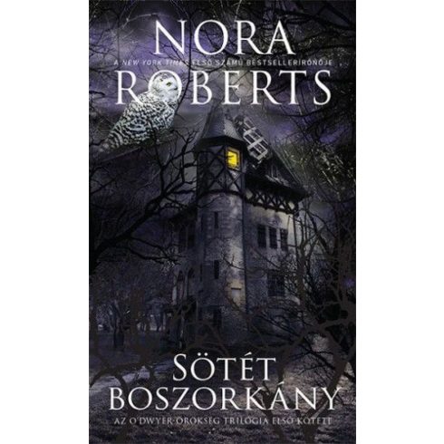 Nora Roberts: Sötét boszorkány / O'Dwyer örökség 3/1