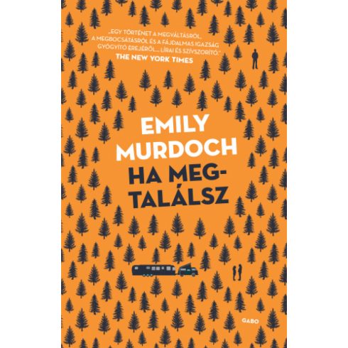 Emily Murdoch: Ha megtalálsz