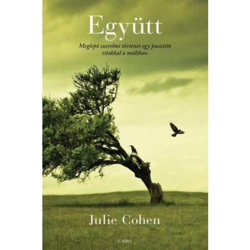 Julie Cohen: Együtt