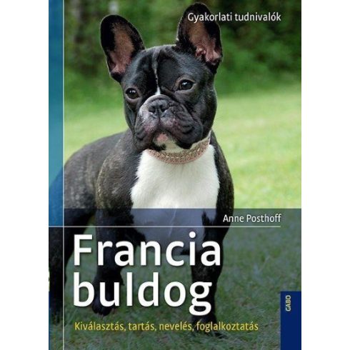 Anne Posthoff: Francia buldog