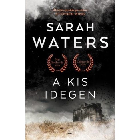 Sarah Waters: A kis idegen