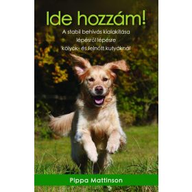 Pippa Mattinson: Ide hozzám!