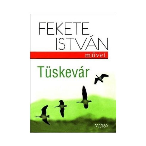 Fekete István: Tüskevár