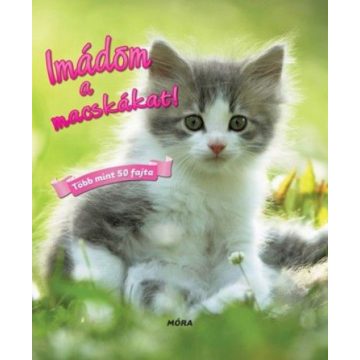 David Alderton: Imádom a macskákat!