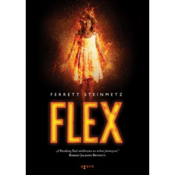 Ferrett Steinmetz: Flex