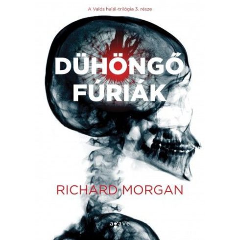 Richard Morgan: Dühöngő fúriák