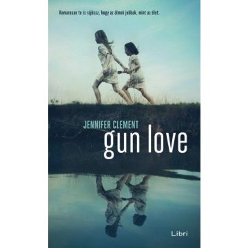 Jennifer Clement: Gun Love
