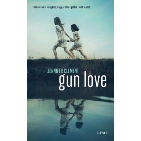 Jennifer Clement: Gun Love