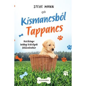 Steve Mann: Kismancsból Tappancs
