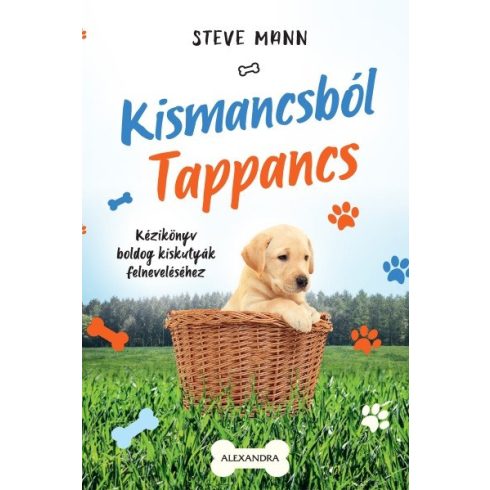 Steve Mann: Kismancsból Tappancs