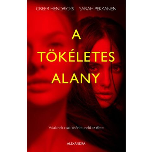 Greer Hendricks, Sarah Pekkanen: A tökéletes alany