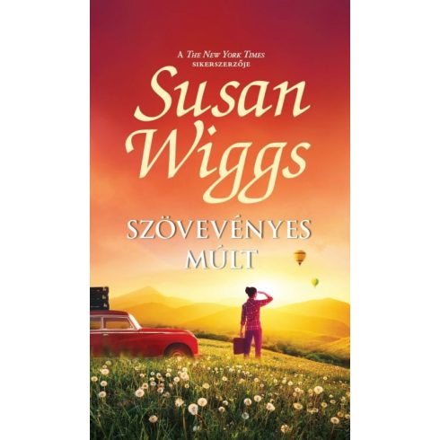 Susan Wiggs: Szövevényes múlt