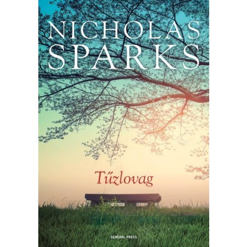 Nicholas Sparks: Tűzlovag