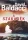 David Baldacci: A szakadék - Travis Devine