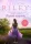 Lucinda Riley: Rejtett szépség