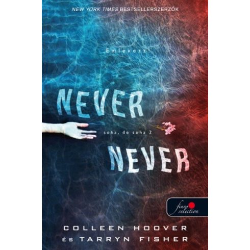Colleen Hoover, Tarryn Fisher: Never Never - Soha, de soha 2.