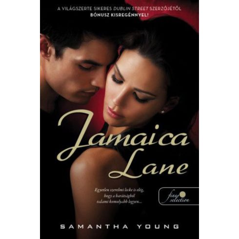 Samantha Young: Jamaica Lane - Dublin Street 3.