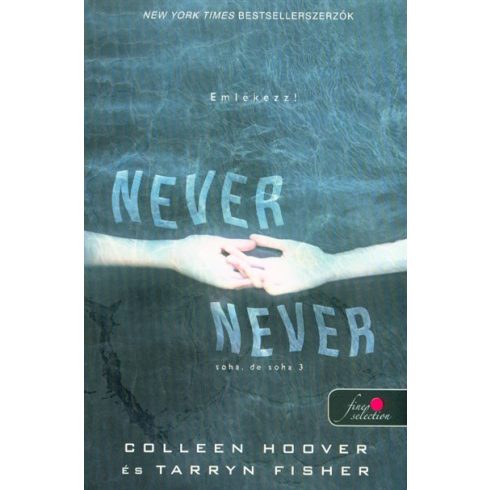 Colleen Hoover, Tarryn Fisher: Never never - Soha, de soha 3. - Never never 3.