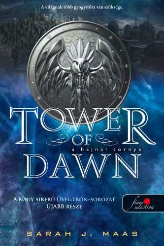 sarah j maas tower of dawn summary