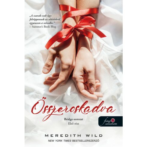 Meredith Wild: Összeroskadva (Bridge 1.)