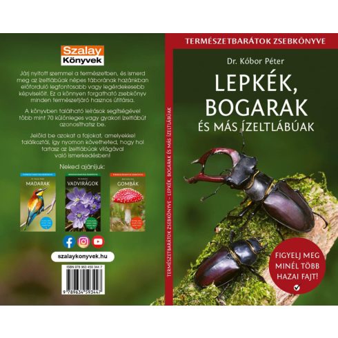 DR. KÓBOR PÉTER: LEPKÉK, BOGARAK ÉS MÁS ÍZELTLÁBÚAK - TERMÉSZETBARÁTOK ZSEBKÖNYVE