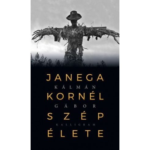 Kálmán Gábor: Janega Kornél szép élete