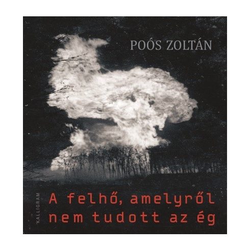 Poós Zoltán: A felhő, amelyről nem tudott az ég