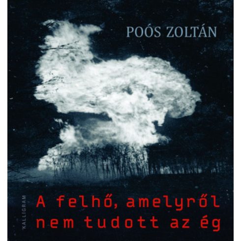 Poós Zoltán: A felhő, amelyről nem tudott az ég