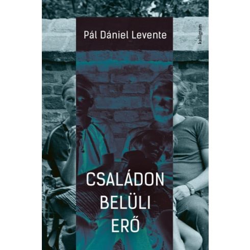 Pál Dániel Levente: Családon belüli erő