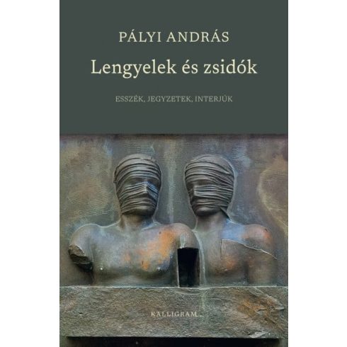 Pályi András: Lengyelek és zsidók - Esszék, jegyzetek, interjúk