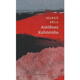 Markó Béla: Autóbusz Kufsteinba