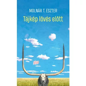 Molnár T. Eszter: Tájkép lövés előtt