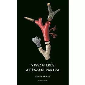 Bende Tamás: Visszatérés az északi partra