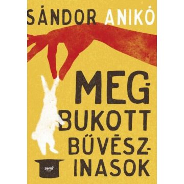 Sándor Anikó: Megbukott bűvészinasok