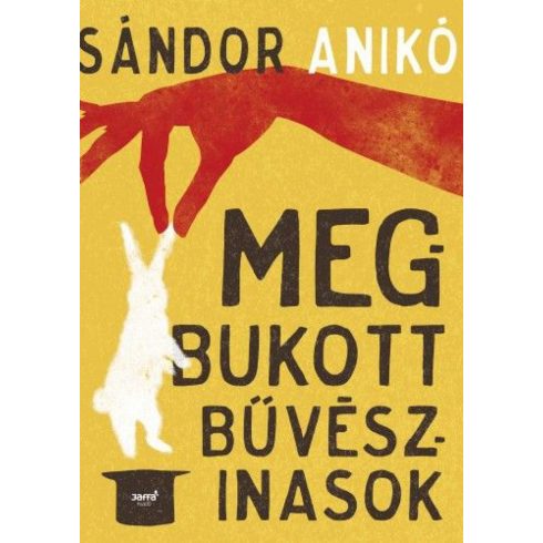 Sándor Anikó: Megbukott bűvészinasok