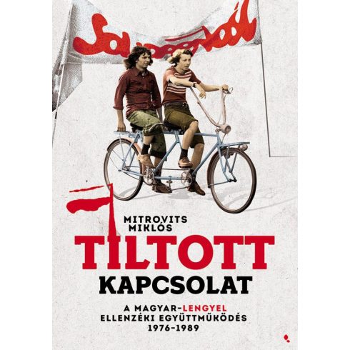 Mitrovits Miklós: Tiltott kapcsolat