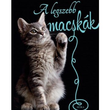 Nicola Jane Swinney: A legszebb macskák