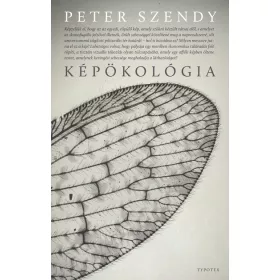 Peter Szendy: Képökológia - Képfilozófia