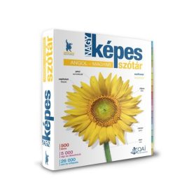 Nagy képes szótár angol–magyar