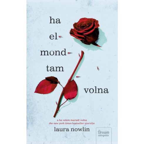 Laura Nowlin: Ha elmondtam volna