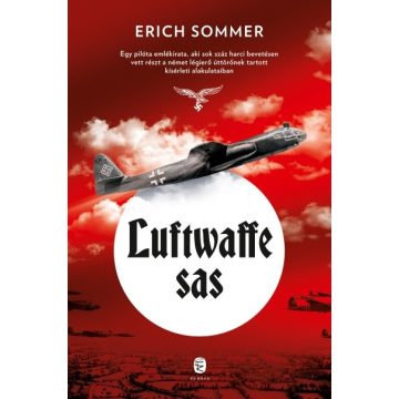 Erich Sommer: Luftwaffe sas