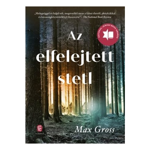 Max Gross: Az elfelejtett stetl