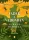 Gerald Durrell: Vadak a vadonban