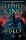 Stephen King: Holly