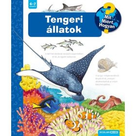 Andrea Erne: Tengeri állatok