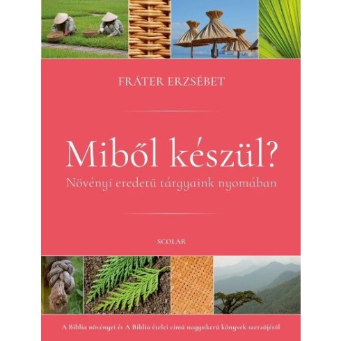 Fráter Erzsébet: Miből készül?