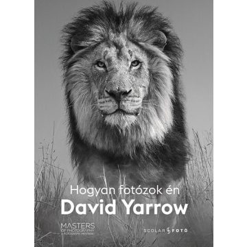 David Yarrow: Hogyan fotózok én - David Yarrow
