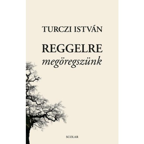 Turczi István: Reggelre megöregszünk