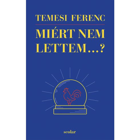 Temesi Ferenc: Miért nem lettem...?